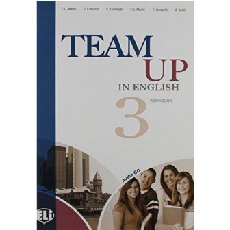 Team Up 3 Workbook